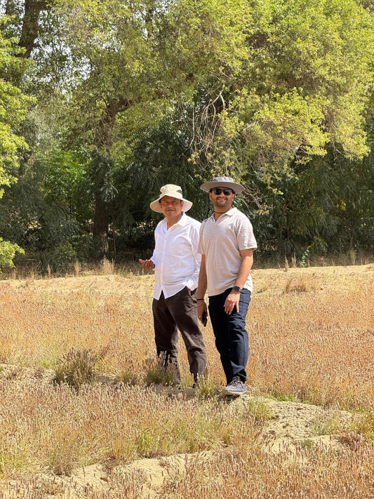 Psyllium Rajasthan Crop Survey 2025