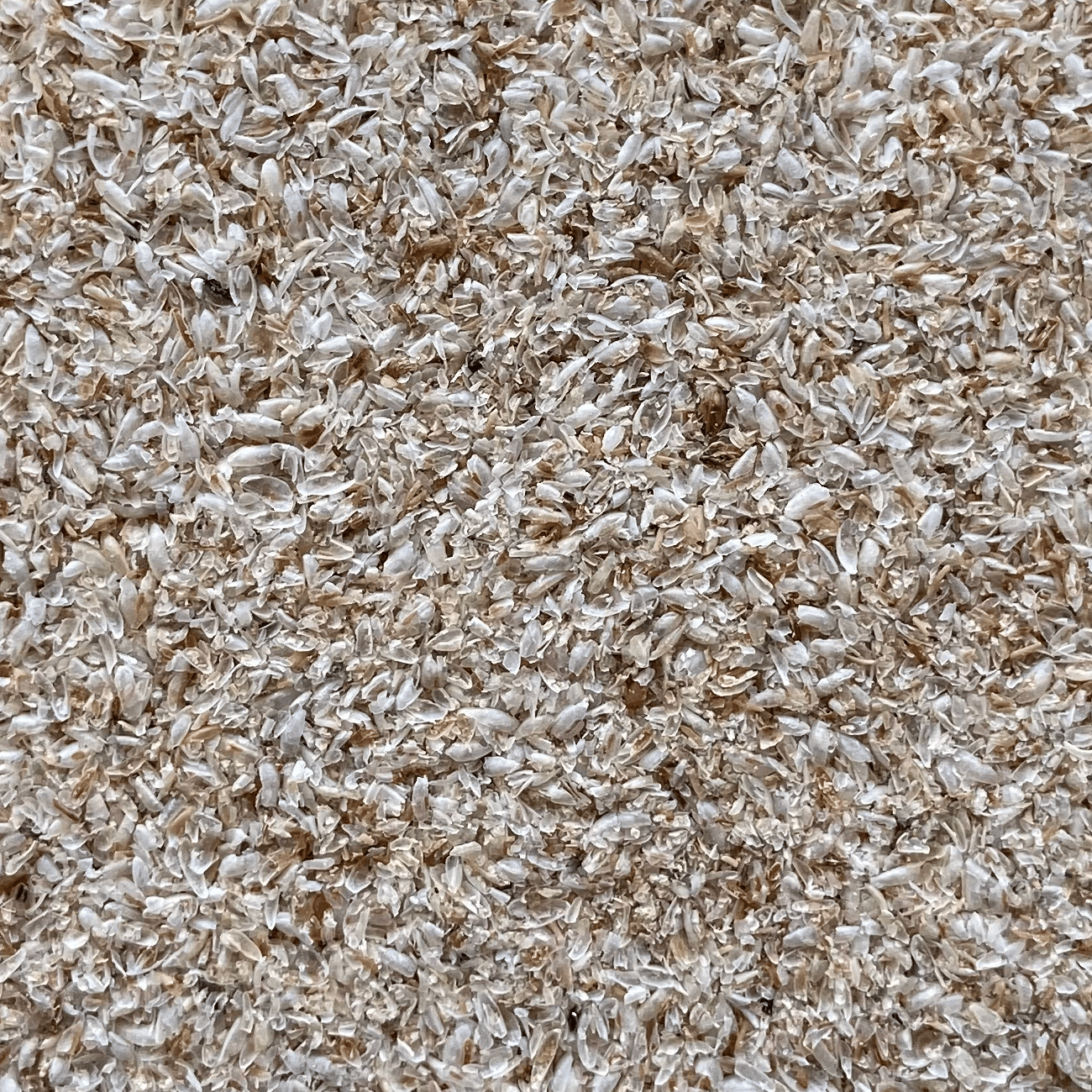 Psyllium Husk Whole