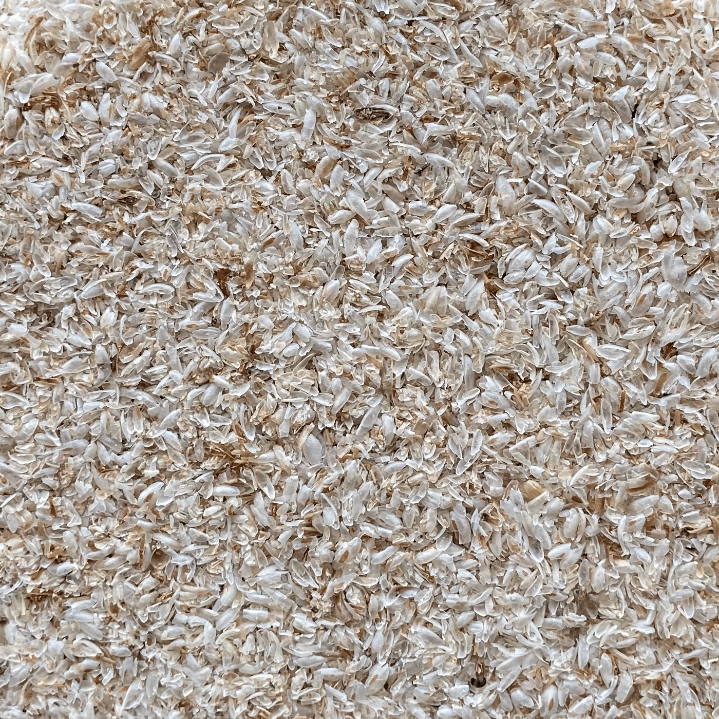 Psyllium Husk Whole