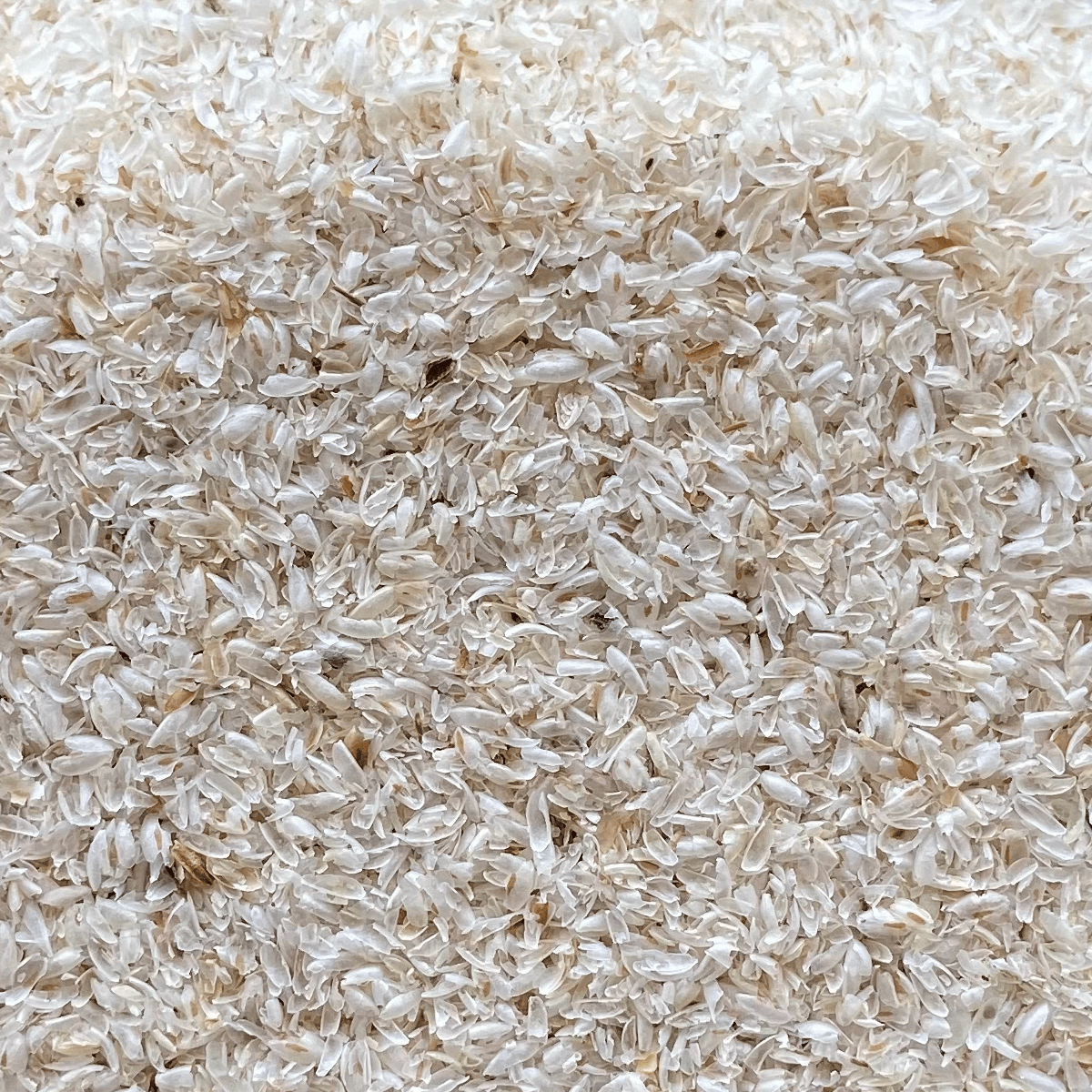 Psyllium Husk Whole