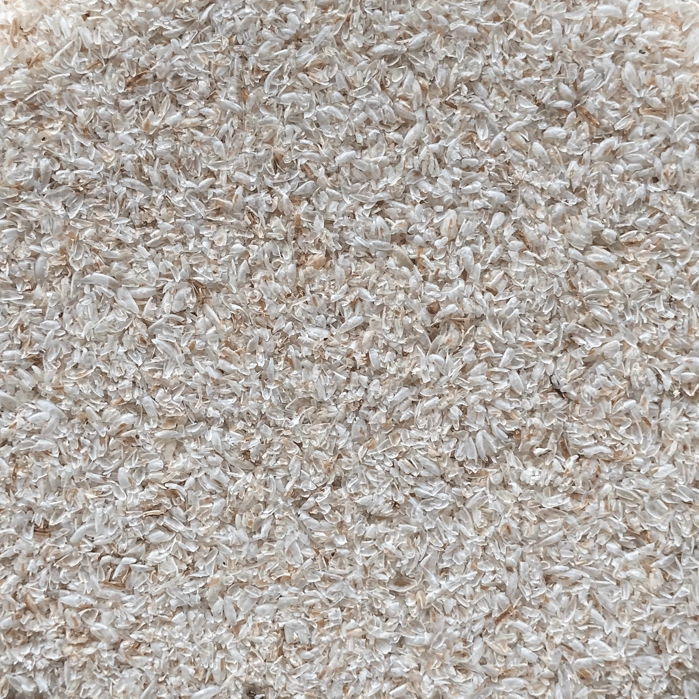 Psyllium Husk Whole