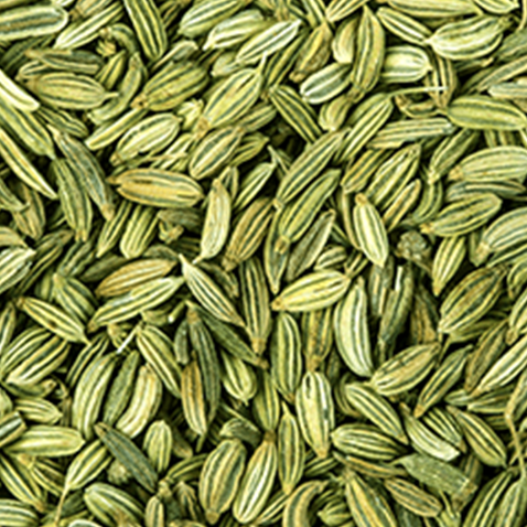 Fennel Seeds